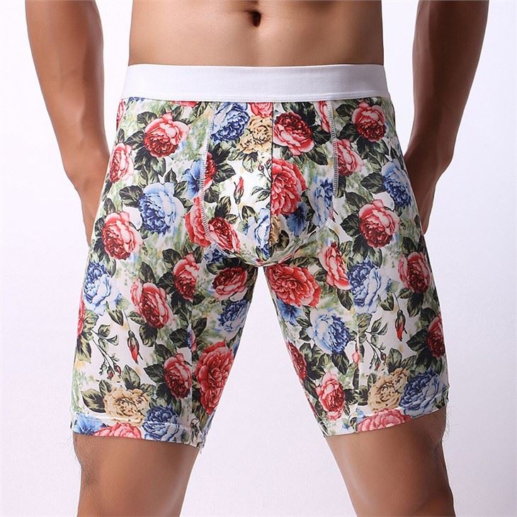 Men's Printed Boxer Fashion Boxer Briefs